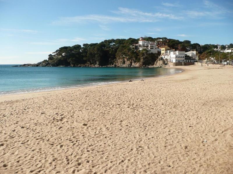 Apartament En Placa Nova 2, 帕拉弗鲁赫尔 外观 照片